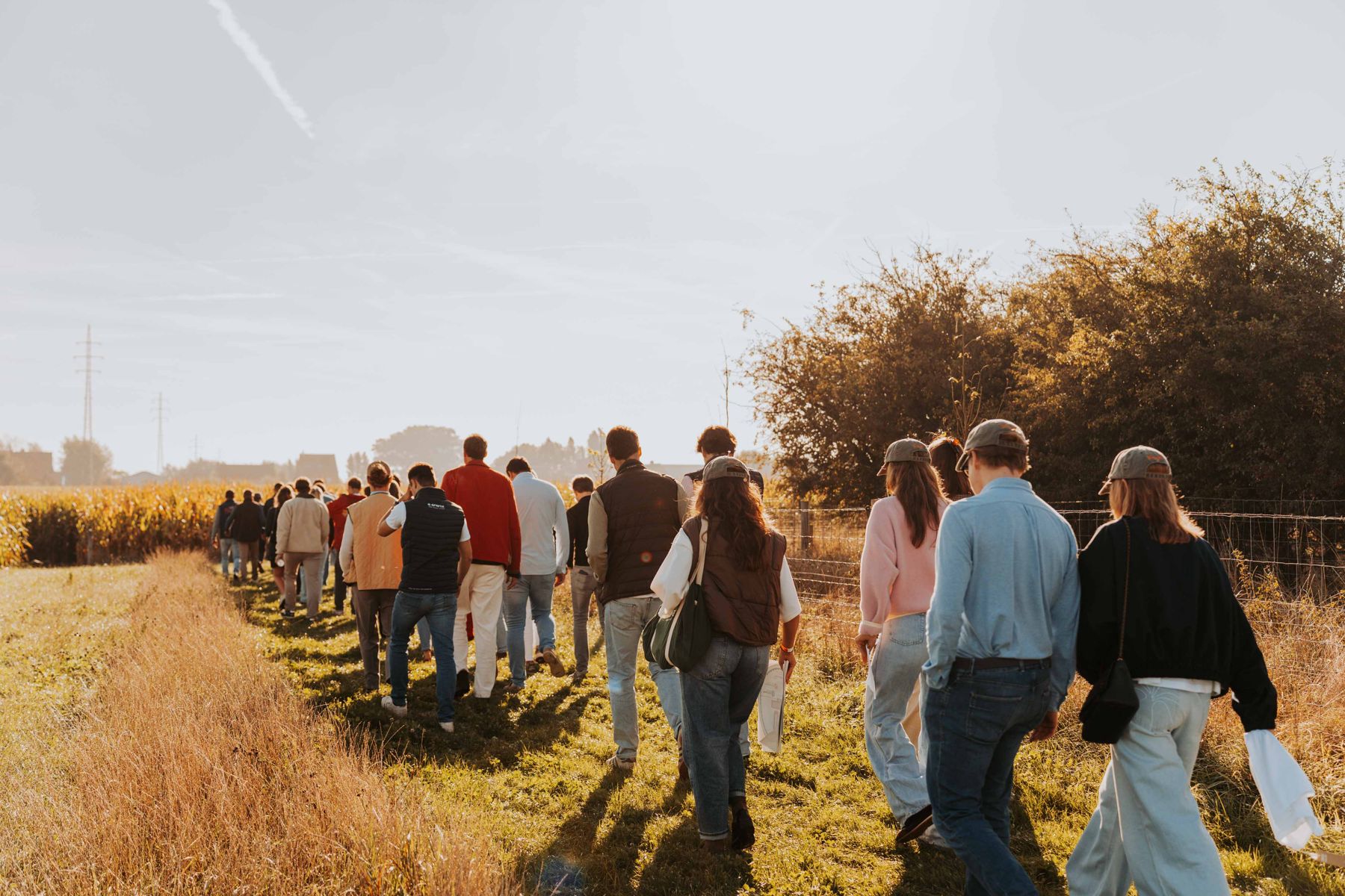 Groep wandelt door een veld