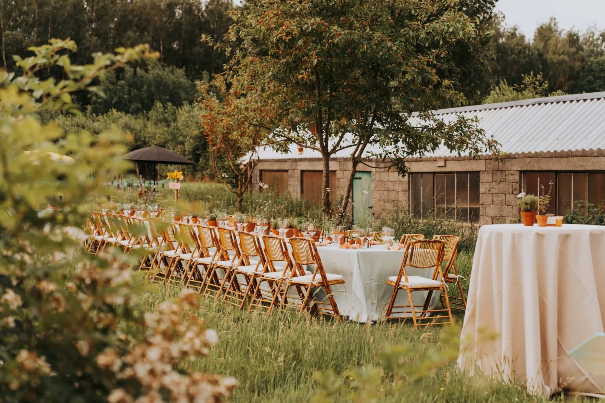 Lange gedekte tafel met bamboestoelen in een zomerse tuin